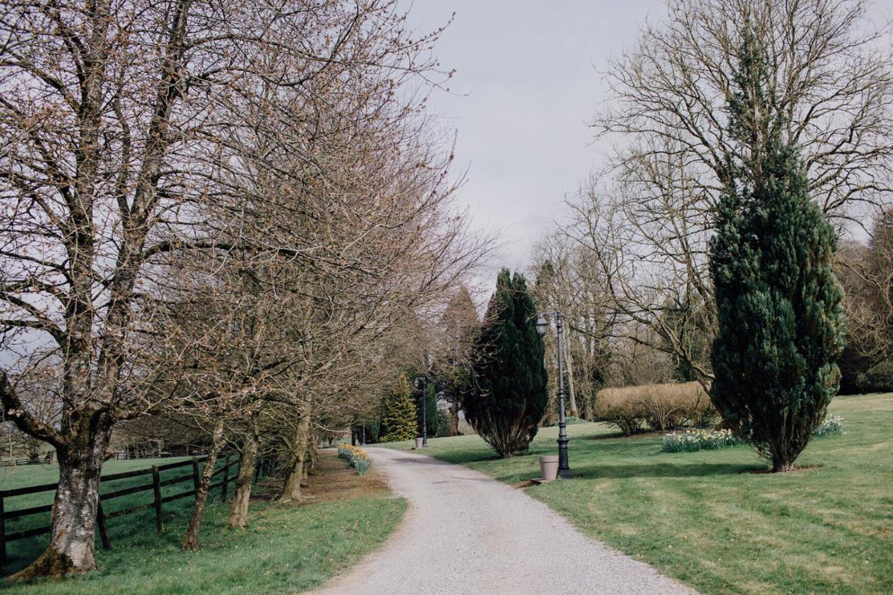 Noan Country House B&B キャッシェル エクステリア 写真